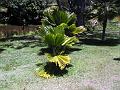 28 - Jardin des eaux 022